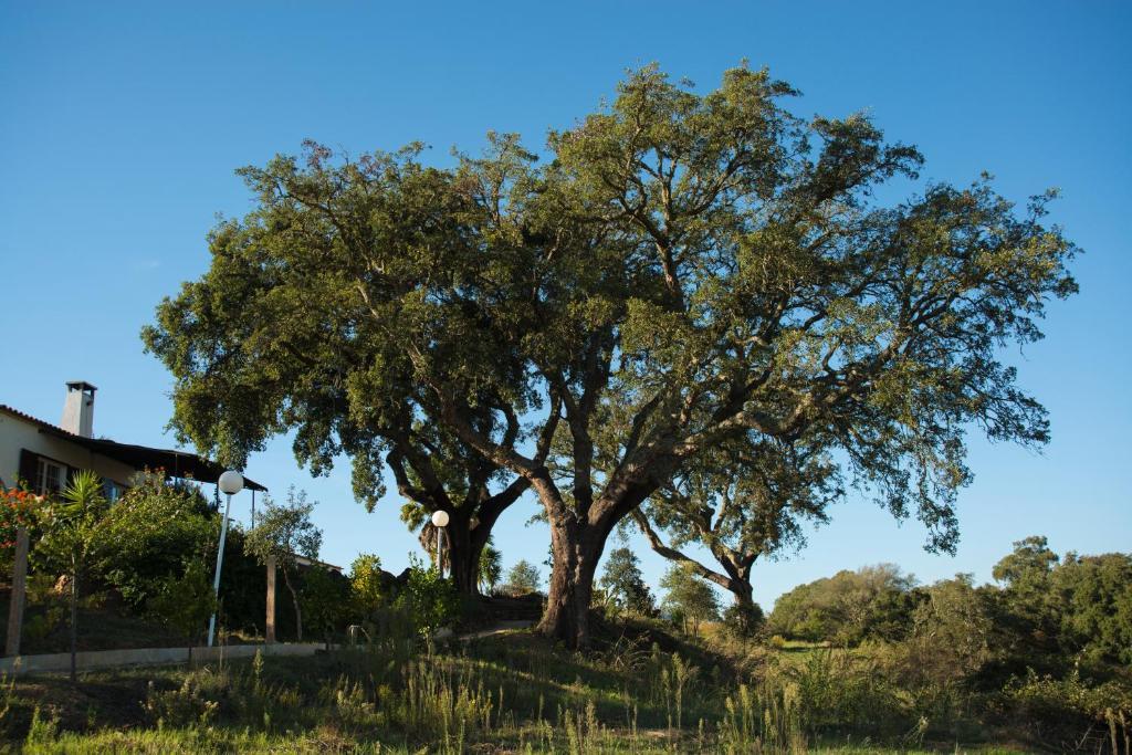 Monte Pedras Negras * São Luís