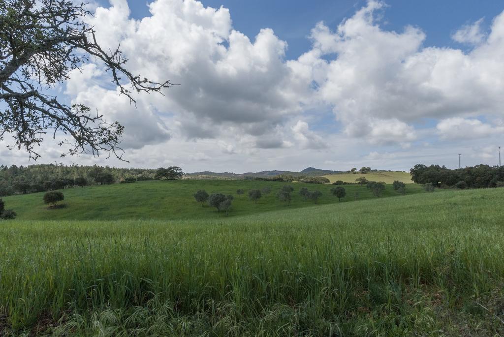 Monte Pedras Negras São Luís